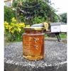 madu sarang / honey comb / pure honey kemasan hexagonal kaca-4