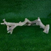 coffee root wood (all size) for jungle gym reptile-3