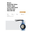 butterfly valve wafer type ductile iron 5 braco
