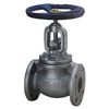 317 - globe valve