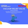 pressure vacuum relief valve c/w flame arrester