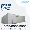 air blast freezer kapasitas 1,2 ton cold storage-4