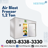 air blast freezer kapasitas 1,2 ton cold storage-3