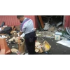 cleaning service membersihkan sampah tendean