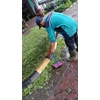 perawatan taman membersihkan tanaman liar di amartapura 12 04 2022