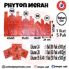phyton merah / kantong plastik