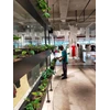 perawatan taman pemngairan tanaman di plaza indonesia 16/6/2022