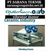 vibrator motor quantum-5