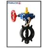 fivalco butterfly valve
