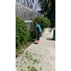 perawatan taman membersihkan daun gardener cinere 01/07/2022