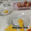 egg yolk colour chart (aksesoris laboratorium-5