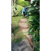 perawatan taman bersihkan gulma sela2 batu gardener cinere 16/07/2022