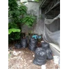 perawatan taman mengangkut sampah gardener asuransi bintang 13/08/2022