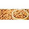 kacang tanah berkualitas