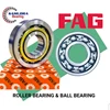 roller bearing fag-1