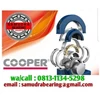 cooper split bearing