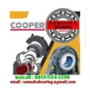 cooper split bearing-1