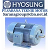 hyosung electric motors high medium voltage