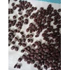 sell: biji asam tamarind atau tamarind seed-1