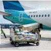 custom clearance import borongan di bandara juanda surabaya-3