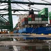 import door to door borongan via laut sea freight