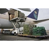 cheap import door to door services from singapore to indonesia-1