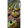 nasi tumpeng mini di jombang-4
