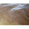 debu pala, tepung pala atau pala powder-2