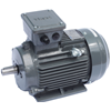 aesv1s electric motor teco