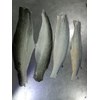 kulit ikan patin-1