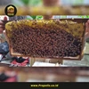 bibit lebah apis mellifera