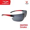 cheetah safety glasses matrix smoke-1