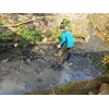 perawatan taman bersihkan sampah sungai di asuransi bintang 27/06/2023