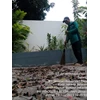 perawatan taman sweeping sampah daun di kedutaan ceko 26/06/2023