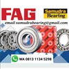ball bearing 6005 c3 fag