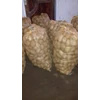 tanaman perkebunan kentang dieng grade ab-1