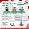 expert excel class (training)