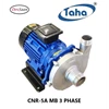 centrifugal pump ss-316 cnr-5a mb 3 fase pompa centrifugal-2x1,5 inci