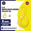 eye selflock hook grade 80