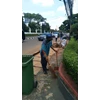 perawatan taman bersihkan sampah luar di asuransi bintang 04/11/2023