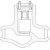 lift check valves pressure seal straight