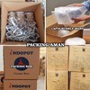 vas bunga keramik murah campa pot tanaman hias mini warna unik-3