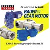 bauer gear motor reducer