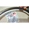 cummins 3903309 flywhel ring gear 3902133 a3903309 a3902133 - 173 gigi
