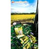 kemasan plastik nylon 5kg untuk benih padi unggul full color printing-1