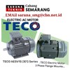 teco electric ac motor