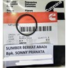 cummins 216187 seal o ring - k19 k50 kta50 kta38