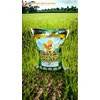 karung laminasi opp 25kg untuk benih padi kacang hijau full printing