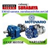 gear motor motovario