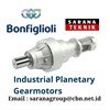 industrial planetary gearmotors